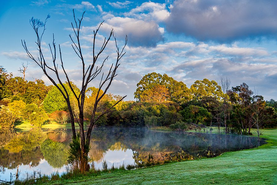 Beautiful lakes everywhere set amongst lush woodland and plants at Pemberton WA Australia