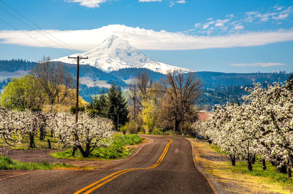 A road leading through rural oregon with Mt. Hood in the background.